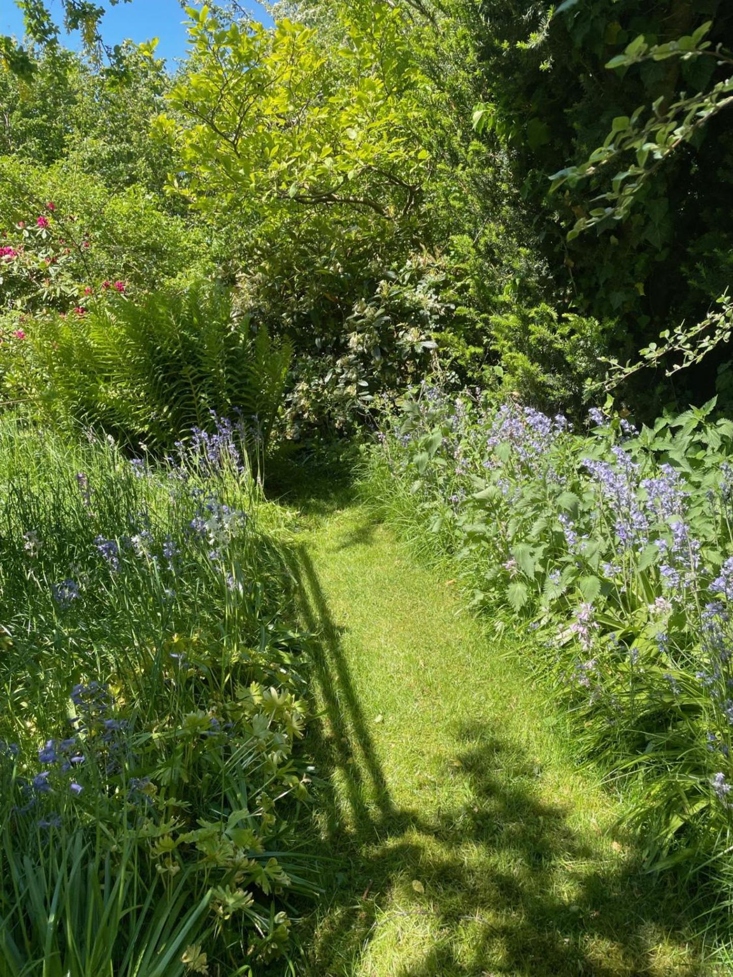 Trennegarden B&B Mjöhult Kültér fotó